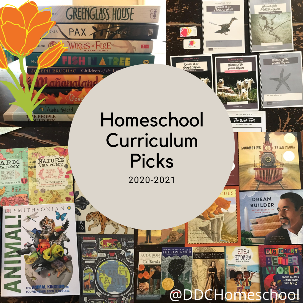 2020-2021 Homeschool Curriculum Picks in Photos – DDC Homeschool Blog